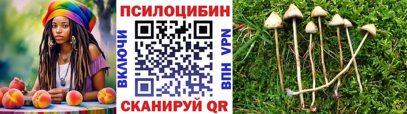 Псилоцибиновые грибы ЛСД  наркота  Шали 