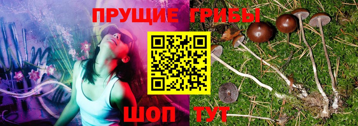 Галлюциногенные грибы мухоморы Шали