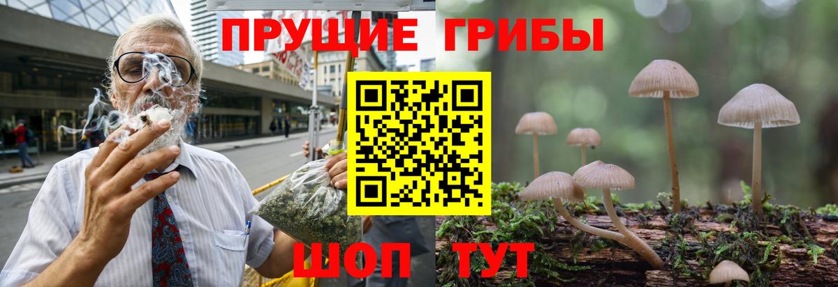 Псилоцибиновые грибы Psilocybe  Галлюциногенные грибы Psilocybine cubensis  Шали  Вход с VPN 